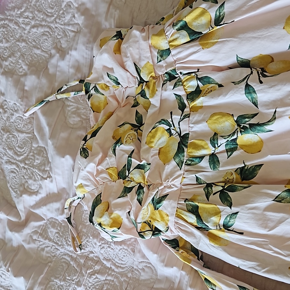 Tuckernuck Pink Lemon-Print Midi Dress - Picture 2 of 4